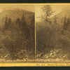 Profile Mountain, Franconia Notch.