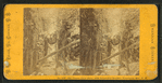The Flume, from above, with Suspended Boulder, Franconia Mts., N.H.