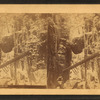 Boulder, Flume, Franconia Mts., N.H.