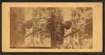 Boulder, Flume, Franconia Mts., N.H.