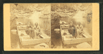 Arctic Philosopher and Wife in the Pool, Franconia Mts., N.H.