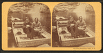 Prof. John Merrill and Wife in the Pool, Franconia Notch, N.H.