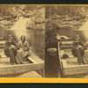 Prof. John Merrill and Wife in the Pool, Franconia Notch, N.H.