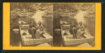 Prof. John Merrill and Wife in the Pool, Franconia Notch, N.H.