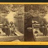 Arctic Philosopher in the Pool, Franconia Notch, N.H.