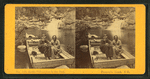 Arctic Philosopher in the Pool, Franconia Notch, N.H.