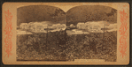 Profile House, White Mountains, N.H.