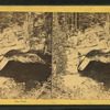 The Pool.