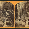 The Flume below Boulder, Franconia, N.H.