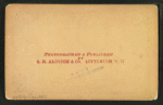 The Flume, Franconia Notch, N.H.