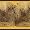Howland's Flume, Mt. Kinsman.