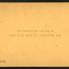 Profile House, Franconia Notch, N.H.
