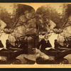 Pool, Franconia Notch, N.H.