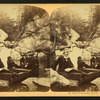 Pool, Franconia Notch, N.H.