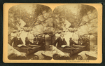 Pool, Franconia Notch, N.H.