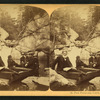 Pool, Franconia Notch, N.H.