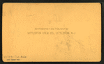 Howland's Flume, Mt. Kinsman N.H.