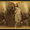 Howland's Flume, Mt. Kinsman, N.H.
