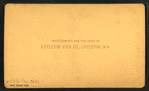 Howland's Flume, Mt. Kinsman, N.H.