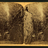 Howland's Flume, Mt. Kinsman, N.H.