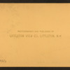Flume, Franconia, N.H.