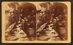 Flume, Franconia, N.H.
