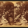 Flume, Franconia, N.H.