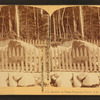 Boulder at Flume, Franconia Notch, N.H.