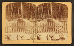 Boulder at Flume, Franconia Notch, N.H.