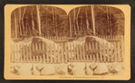 Boulder at Flume, Franconia Notch, N.H.