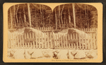 Boulder at Flume, Franconia Notch, N.H.