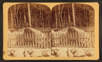 Boulder at Flume, Franconia Notch, N.H.