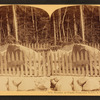 Boulder at Flume, Franconia Notch, N.H.