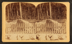 Boulder at Flume, Franconia Notch, N.H.