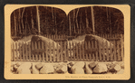 Boulder at Flume, Franconia Notch, N.H.