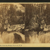 Livermore Falls, below the Bridge, Plymouth, N.H.