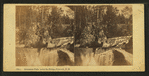 Livermore Falls, below the Bridge, Plymouth, N.H.