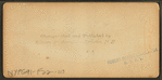 View from Plymouth, N.H.