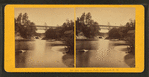 Livermore Falls, Plymouth, N.H.