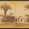 View in Plymouth, N.H.