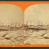 Oceanic Regatta, July 24, 1875, No. 3.
