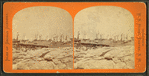 Oceanic Regatta, July 24, 1875, No. 3.