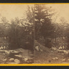 Brook Scene, North Conway, N.H.