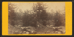 Brook Scene, North Conway, N.H.