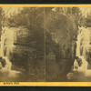 Artist's Fall.