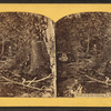 Scene at North Conway, N.H.