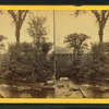 Artist's Brook and Elms.