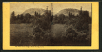 White Horse Ledge, No. Conway, N.H.
