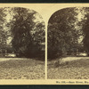 Saco River,  No. Conway, N.H.