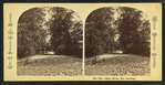 Saco River,  No. Conway, N.H.